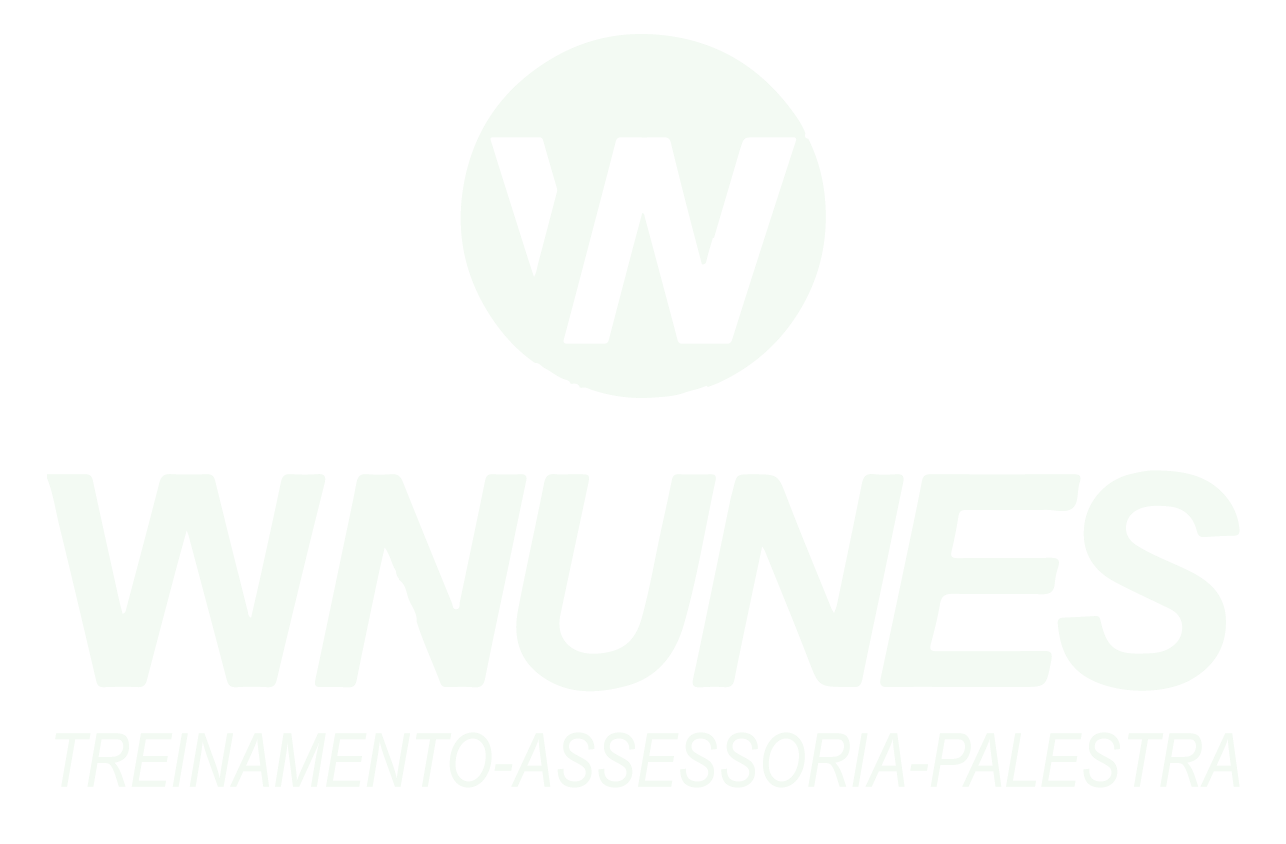 WNUNES Treinamento Assessoria Palestra